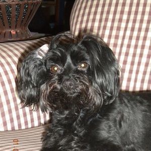 Meet your Posher, Jan